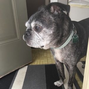 Meet your Posher, Rachel